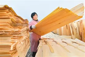 各类农业经营主体营商环境持续优化图片