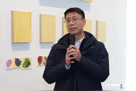 在央美美术馆，感知“周亭的色彩直觉”图片