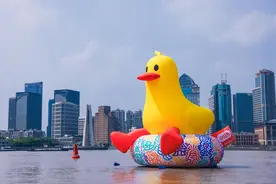 20米高“大黄鸭”亮相黄浦江，5条主题小马路焕然一新！“上海之夏”迎来标杆活动“马路生活节”图片