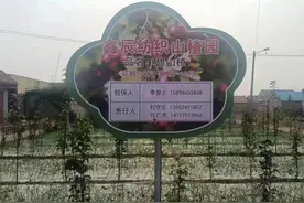 花园+果园+菜园+公园，村村“四小园”扮靓唐马新乡村图片