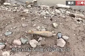 重庆：大爷江边遛弯捡到炸弹 民警提醒需谨慎图片