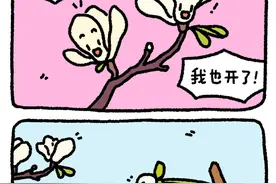 允许自己是一朵晚开的花图片