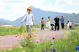 呼和浩特：夏日草原引游人图片