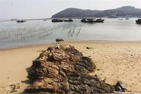 厦门市博物馆和民间藏家收藏了不少与蛇有关的艺术精品图片