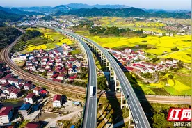 通往春天的高速之路：长芷公路油菜花海绘就春日画卷图片