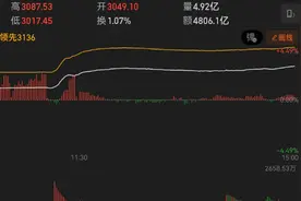 两市成交突破1.4万亿！A股行情火爆异常，上交所“宕机”背后，一张中标截图疯狂刷屏……图片