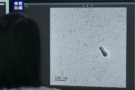 我国科研人员成功解析叶绿体基因转录机器构造图片