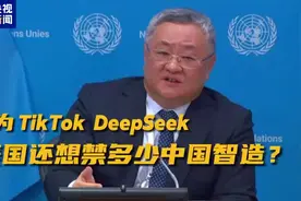 中国代表回应DeepSeek引发轰动图片