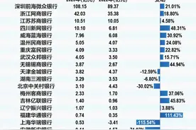 民营银行十年蝶变：微众、网商两家占据七成利润，谁在掉队？图片