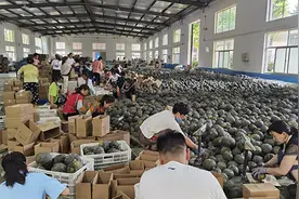 到县城去生活：有奋斗的事业，也有美好的生活图片