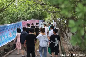 单位组团来相亲！烟台山青年联谊活动持续火爆，现场报名排长队图片
