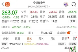 宁德时代上半年日均净赚1.7亿｜一周市场观察图片