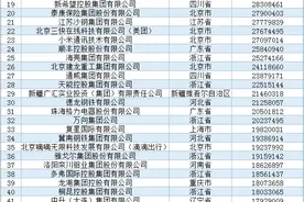 河北34家！2024中国民企500强榜单来了图片