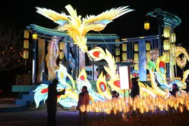 北京朝阳牵手“凤凰友谊大使” 共绘国际合作新篇图片