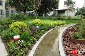 构建睦邻友好、团结互助的社区氛围！苏州工业园区娄葑街道老旧小区“微改造”，守护群众“微幸福”图片