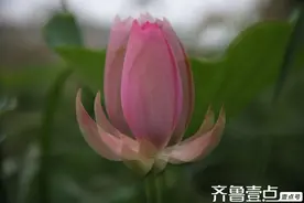摄影多重曝光趣味无穷图片