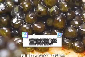 身在故乡为异客？你的四川我的四川好像不一样图片