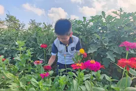 摘花、包花、送花，孩子们送给老师满满的爱图片