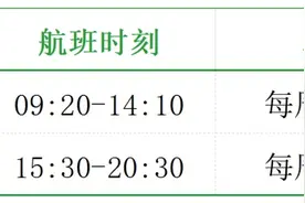 官宣！2024武汉暑期新增这些航线图片