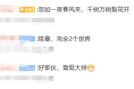 北京下雪了！降温10℃左右，晚高峰出行注意图片
