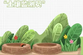 世界土壤日｜跳虫：小个头、大作用的“土壤监测员”图片