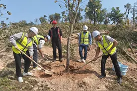 中建五局三公司“学雷锋活动月”义务植树活动圆满举行图片