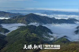 【生态资讯】黔东南州公益林生态补偿金惠及47万户林农图片