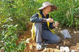 无惧荆棘勇担当  奉献地质洒青春——福建省第四地质大队工勘院助力全国土壤普查工作纪实图片