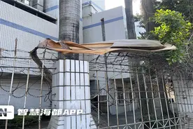 30余道路整治清洗！福州这里全面大清洗，舒心过年！图片