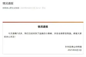小黑熊找到了！遇到熊如何逃生？记住这些→图片