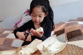 古寨小学开展“纪念先贤 缅怀先烈”清明节系列活动图片