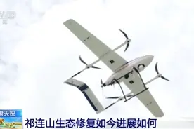 无人机巡护、药物烟剂抵御病虫害……祁连山向绿而行图片