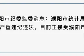 涉嫌严重违纪违法！河南濮阳市统计局党组副书记、二级调研员王庆如被查图片