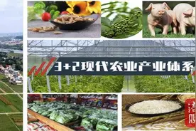 全省唯一！绵阳这个案例入选全国优良案例图片