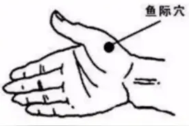 血糖高了，吃点苦的酸的图片