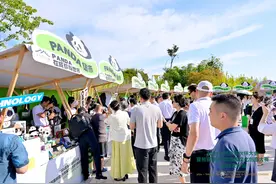 “花花”领衔大熊猫家族，天府文创市集展区火热“开市”图片