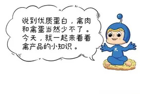 禽肉、禽蛋有啥营养？图片