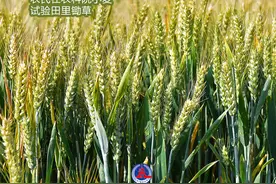 （图表·海报）新华全媒+丨全国土地日：严守耕地红线 端牢“中国饭碗”（3）图片