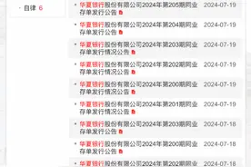 发行同业存单，营收下降高管频换，华夏银行资金补充面临大考图片