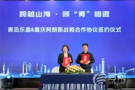 青岛市跨境电商综试区招商推介会（重庆站）成功举办图片