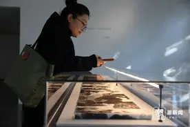 潘云鹤、许江、王冬龄西湖边打卡“山魂”画展图片