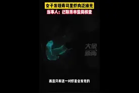 女子发现寿司虾肉泛绿光，专家：不建议吃，可能会感染图片