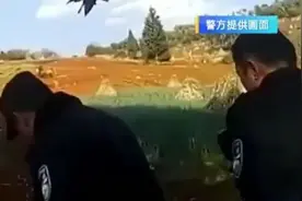 家牛突然发疯连续顶翻两人！民警果断开枪……图片