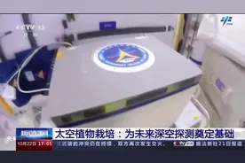 太空种菜是为了让航天员吃点新鲜蔬菜？把格局打开图片
