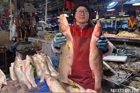 开凌梭价格走低图片