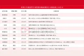 本周再添11家！雅戈尔等多股披露回购增持再贷款计划，相关A股名单一览图片