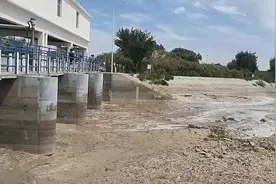 弱水三千 向“新”而行图片