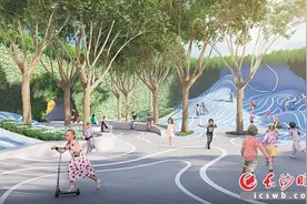 望城全力推进大泽湖片区建设，将打造为长沙又一个科创地标图片