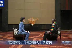 高端访谈丨专访津巴布韦总统姆南加古瓦图片