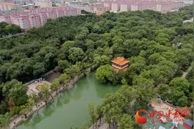 平凉：百年古树名木群“左公柳”重现昔日风华图片